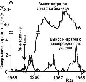 Биогеохимические циклы презентация